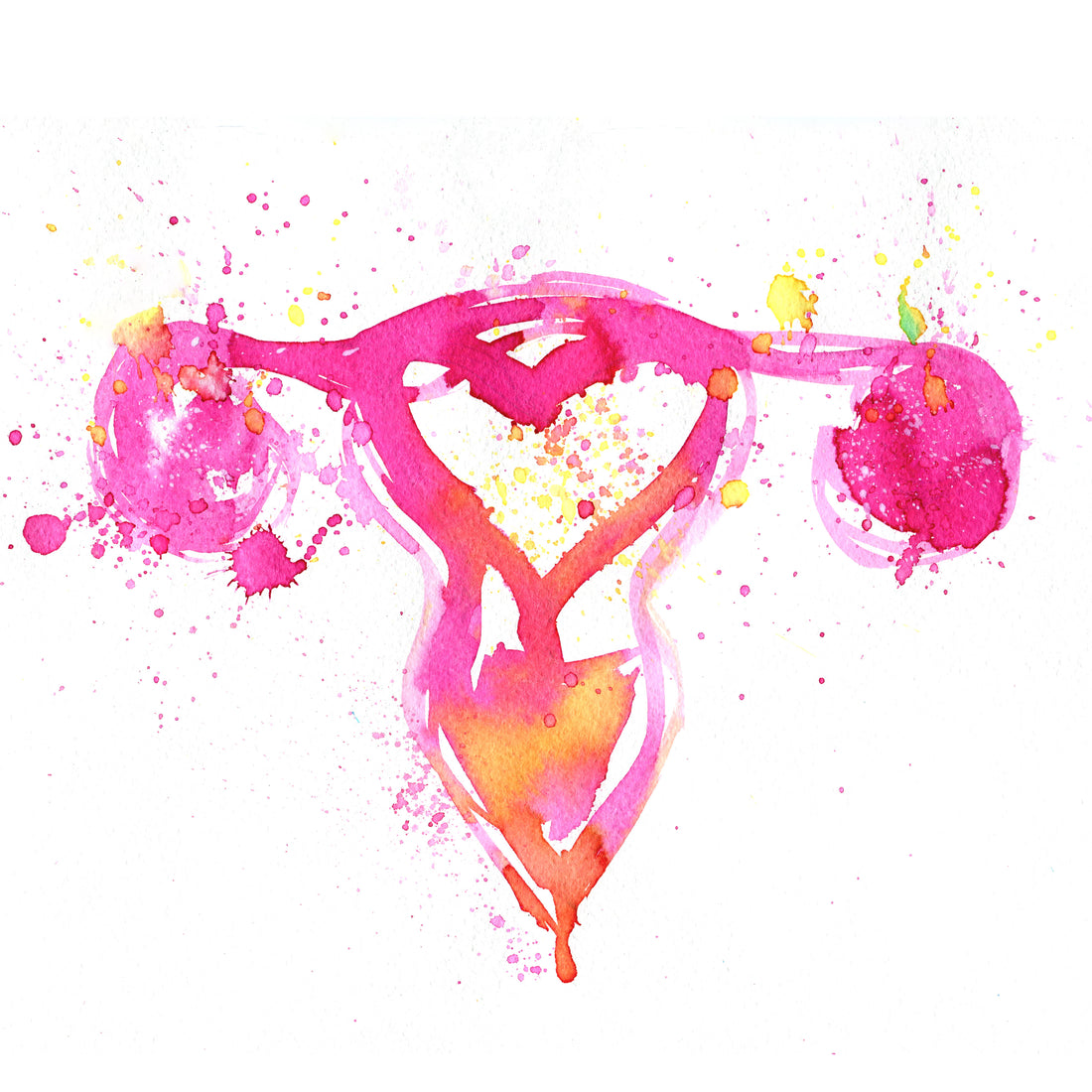 Artistic interpretation of female reproductive organs.
