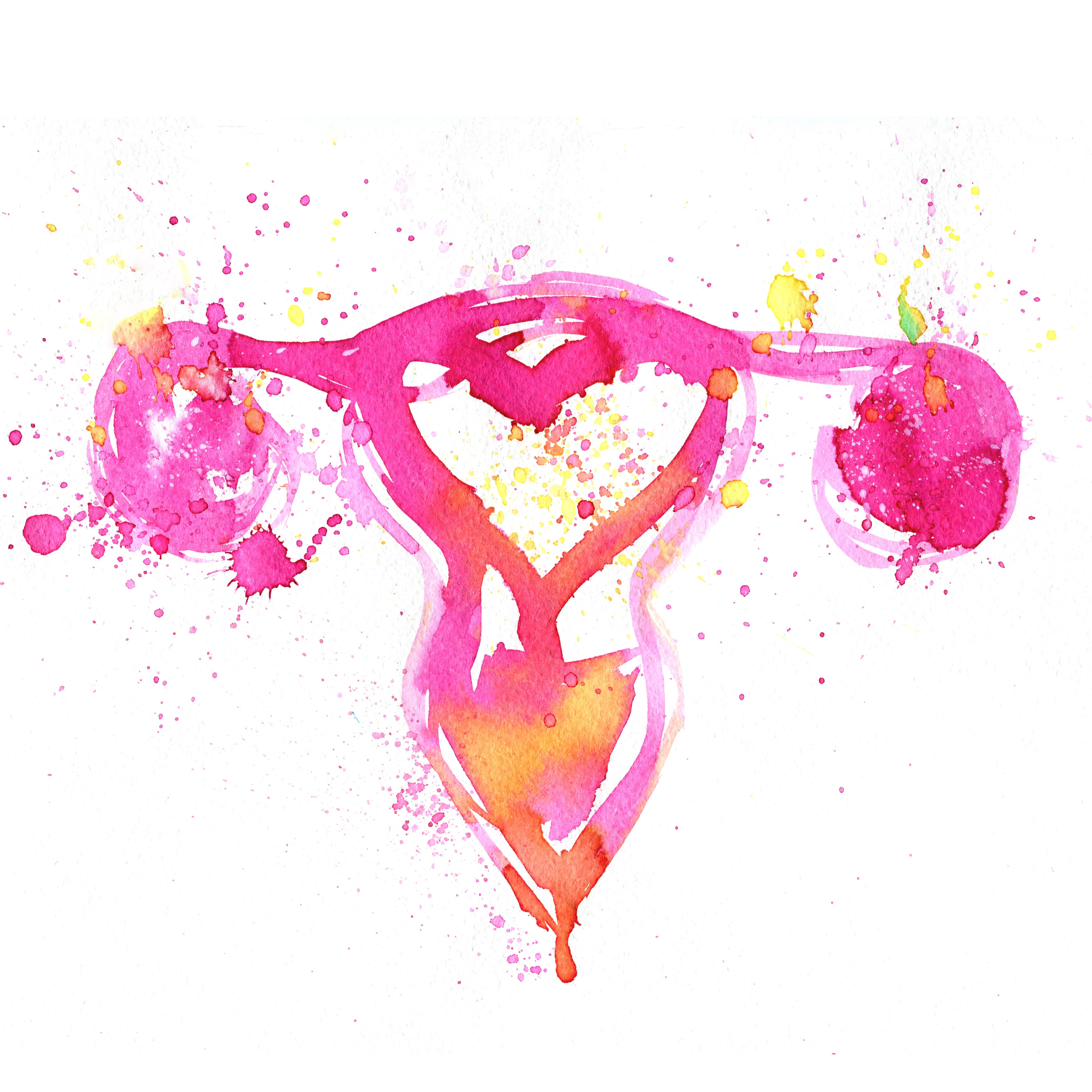 Artistic interpretation of female reproductive organs.