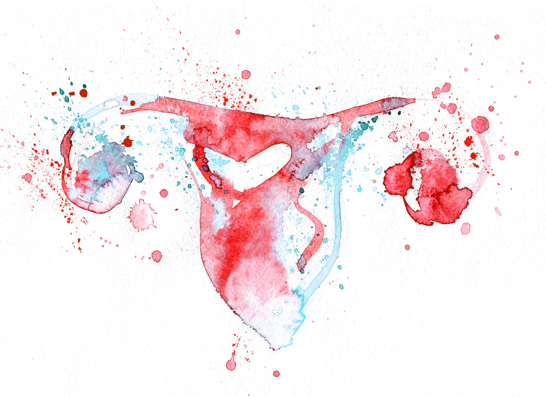 Can I Get Pregnant During My Period?