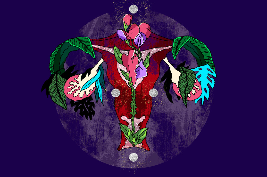 Artistic illustration of a vagina and reproductive system